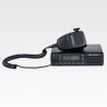 DM1600